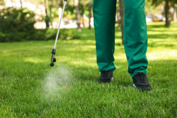 Best Pest Removal Services  in Snyder, TX